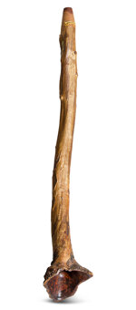 Heartland Didgeridoo (HD435)